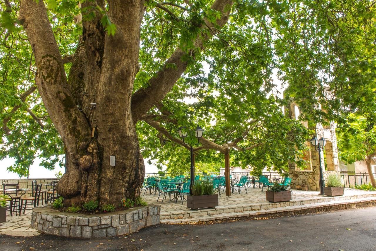 «Σκλάβας Χνάρι» Παραδοσιακός Ξενώνας Apartment Magouliana ภายนอก รูปภาพ
